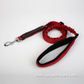 Reflective Strong Dog Leash for Medium Dog Training